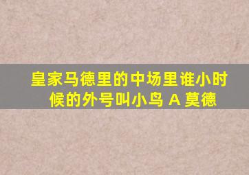 皇家马德里的中场里谁小时候的外号叫小鸟 A 莫德